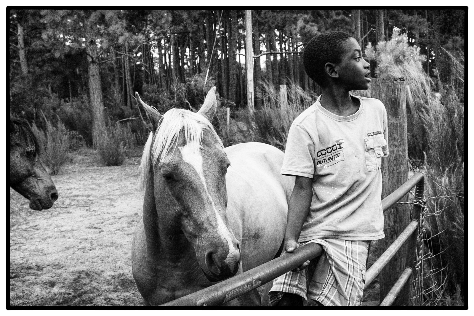 Sapelo Island Geechee Pete Marovich